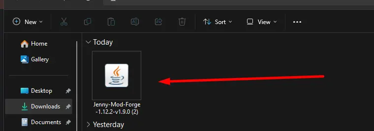File location of the downloaded Jenny MOD in the downloads folder.