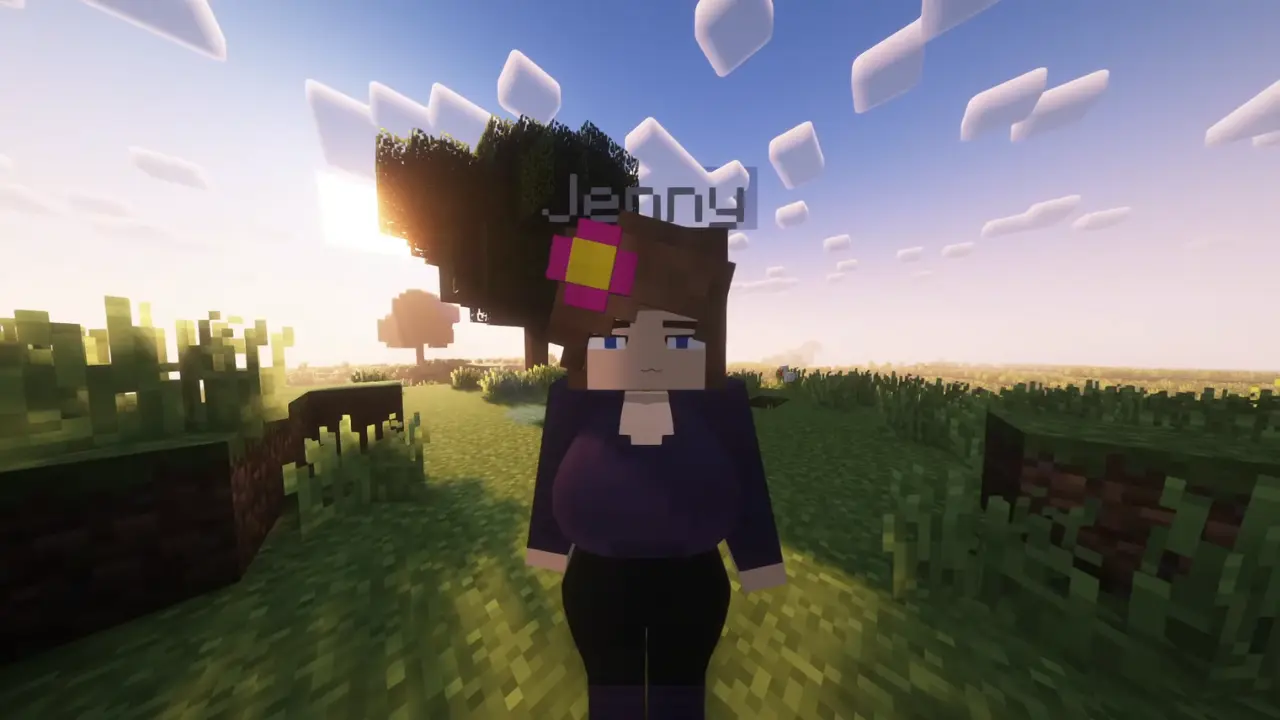 What Is Jenny Mod